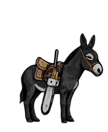 Burros Landscaping Logo
